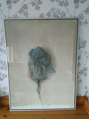 Bruno Bruni - Serie Florilegium (3 werken) kopen? Bied vanaf 120!