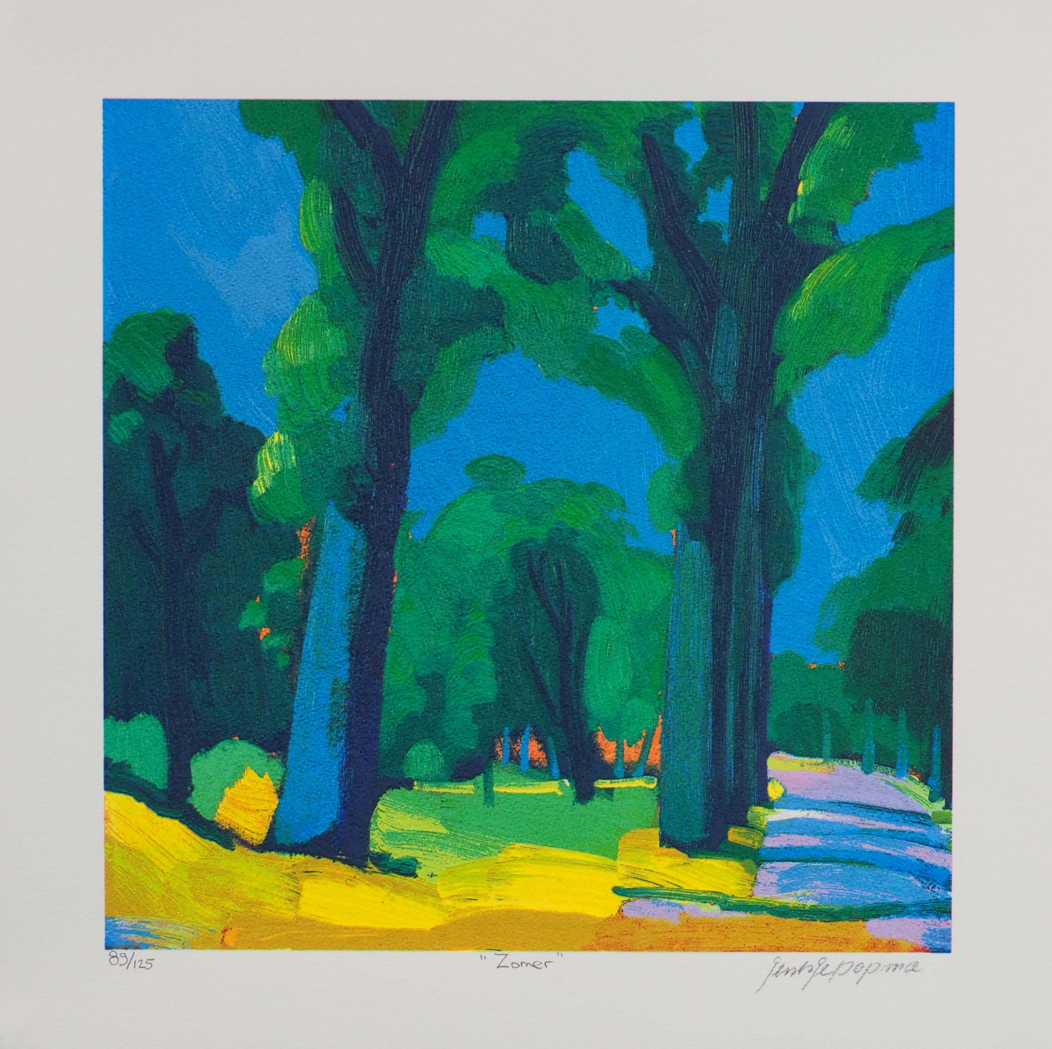 Jentsje Popma - Zomer verkocht voor € 60!