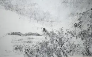 Ton Albers - Waver - Potloodtekening kopen? Bied vanaf 50!