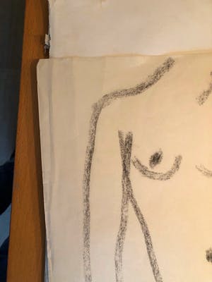 Jan Jongert - Naakte vrouw - Houtskooltekening kopen? Bied vanaf 45!