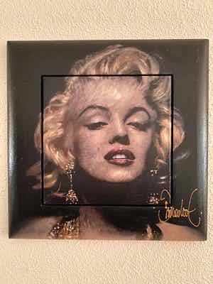 Peter Donkersloot - Marilyn Monroe verkocht voor € 295!