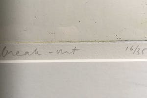 Hans Vredegoor - Break-Out kopen? Bied vanaf 35!