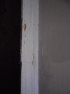 Peer de Wit - Zeefdruk, Titel. "Der Tod und das Madchen IV kopen? Bied vanaf 40!