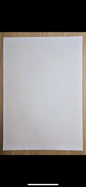 Corneille - Flevoland oplage 91/200 zeefdruk kopen? Bied vanaf 349!