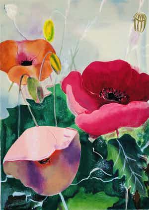 Marjan Jaspers - Klaprozen verkocht voor € 85!