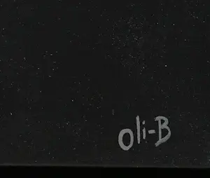 OLI-B - Modest kopen? Bied vanaf 1495!