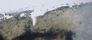 Wim Zurne - Zeefdruk op doek, Paard - Ingelijst (groot) kopen? Bied vanaf 60!