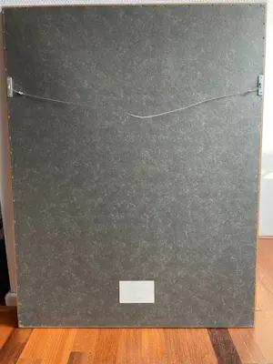 Walty Dudok van Heel - Teckel kopen? Bied vanaf 250!