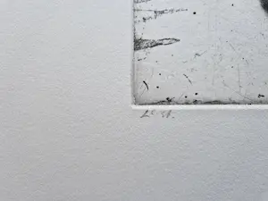 Jan Prins - Grote & fraai uitgewerkte - unica 2e staat - Ets "Paardeval" kopen? Bied vanaf 32!