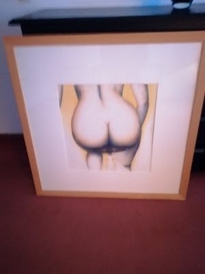 Jan de Bruin - Mooi naakt kopen? Bied vanaf 40!