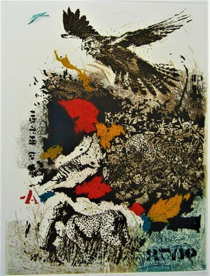 Simon Koene - Torenvalk kopen? Bied vanaf 30!