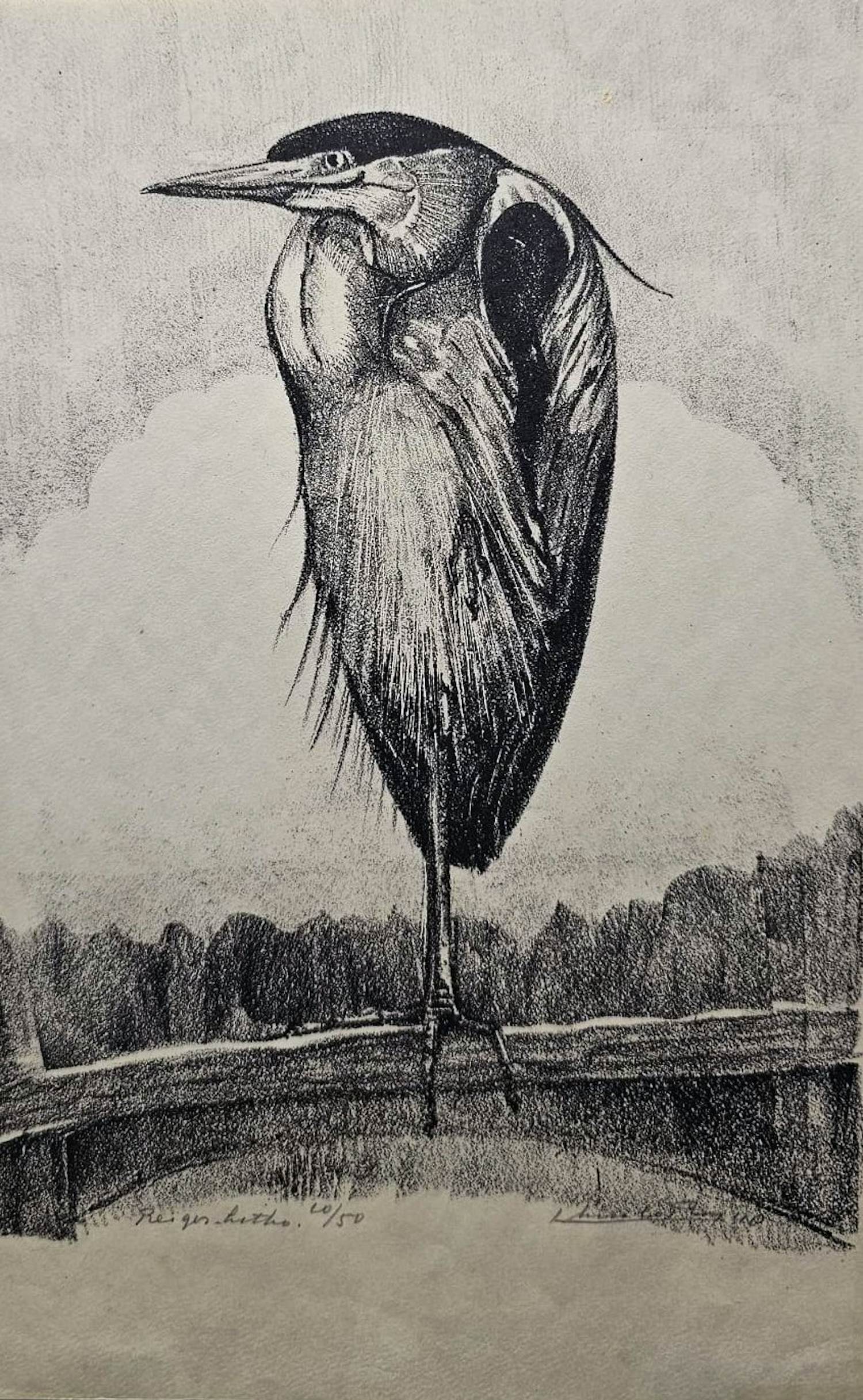 Chris Le Roy - Reiger kopen? Bied vanaf 50!