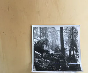 Freek Souwer - Bostafereel | pentekening jaren '60 - ingelijst kopen? Bied vanaf 49!