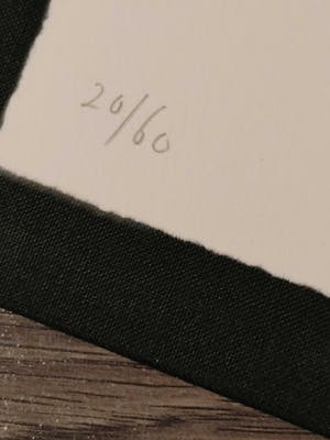 Armando - Das Rad - Speciale uitgave in map (20/60) kopen? Bied vanaf 250!