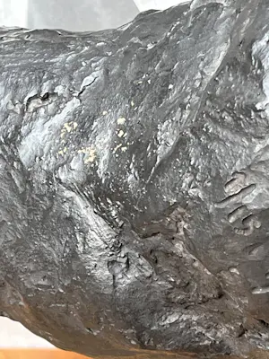 Ger Lataster - PAARD kopen? Bied vanaf 800!