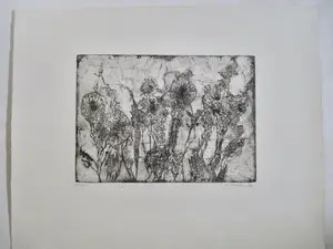 Niet of onleesbaar gesigneerd - 7 etsen div. kunstenaars kopen? Bied vanaf 1!