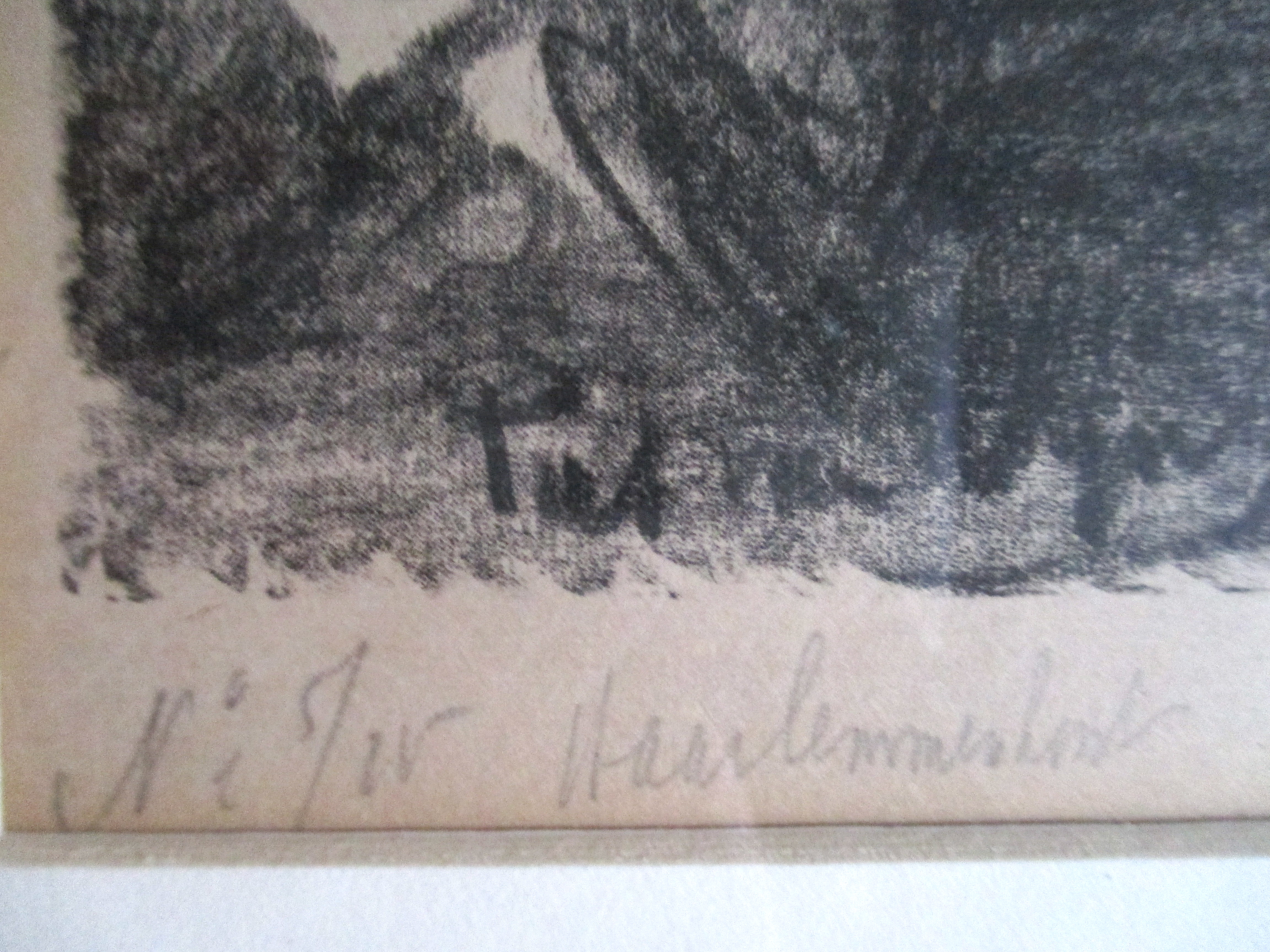 Piet van Wijngaerdt - Ingelijste Litho "Haarlemmerhout" kopen? Bied vanaf 45!