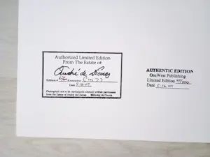 Andre De Dienes - Marilyn Monroe 1953/2007 - Auflage von 200 - drucksigniert kopen? Bied vanaf 500!