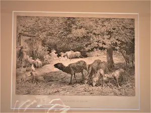 Jules Hereau - Les moutons de Claudine kopen? Bied vanaf 1!