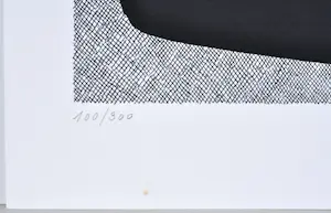 Jan Schoonhoven - Zeefdruk - Gesigneerd - 65x50 cm - 1989 kopen? Bied vanaf 690!