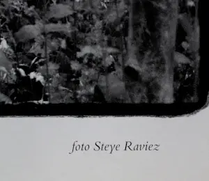 Steye Raviez - Foto: Jan Wolkers kopen? Bied vanaf 25!