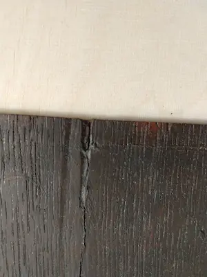 Ellis Tertoolen - Klassiek damesportret in profiel kopen? Bied vanaf 250!