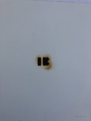 Jan van Munster - IK pyrografie kopen? Bied vanaf 145!