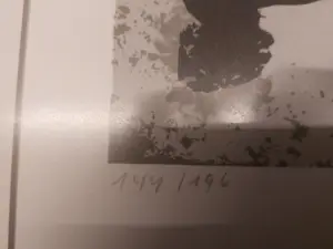 Fred Bervoets - De trommelaar van de dood kopen? Bied vanaf 700!