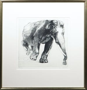 René van Tol - Ets, Olifant 1 - Ingelijst kopen? Bied vanaf 1!