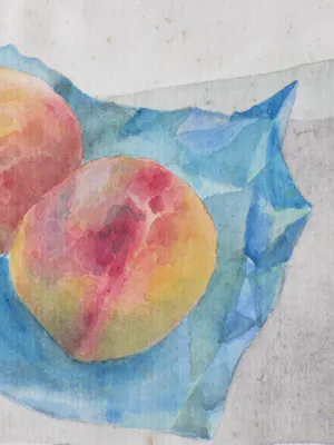 Jos van den Berg - Twee perziken op tafel - Aquarel kopen? Bied vanaf 30!