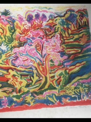 Suzanne Tourte - Amandelboom kopen? Bied vanaf 10!