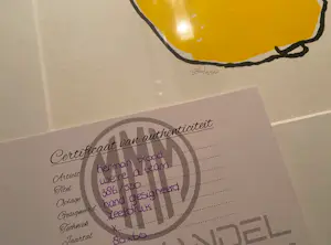 Herman Brood - We are a team kopen? Bied vanaf 299!