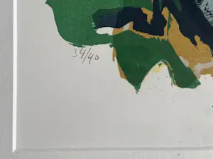 John Lie a Fo - Toekan & kikker kopen? Bied vanaf 100!