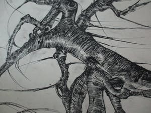 Frits van der Zander - Boomstudie kopen? Bied vanaf 15!