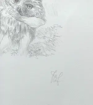 Peter Vos - De ontdekking van de giraffe, litho kopen? Bied vanaf 75!