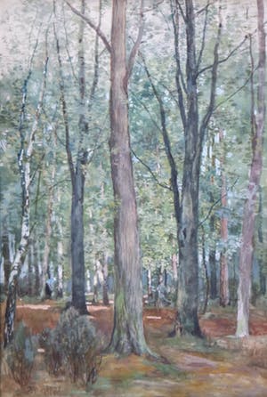 Bernard Ferdinand Hoppe - aquarel op papier - bosgezicht met een houtsprokkelaarster kopen? Bied vanaf 165!