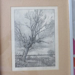 Jan Voerman (jr.) - knotwilg aan de waterkant kopen? Bied vanaf 30!