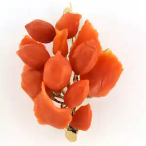 BWG geel tak broche met koraal kaufen? Bieten Sie von 410!