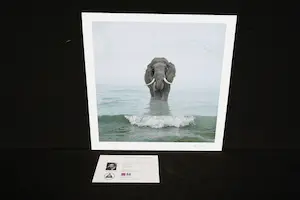 Mr. Strange - Babar op Zanzibar kopen? Bied vanaf 80!