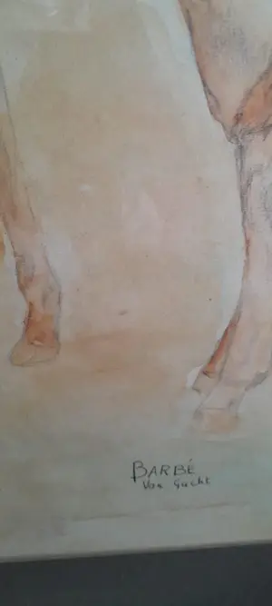 Wilhelmina Barbe-Van Gucht - Grote realistische aquarel - Paarden kopen? Bied vanaf 300!