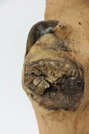 Frans Kokshoorn - Sculptuur van hout met metalen elementen kopen? Bied vanaf 150!