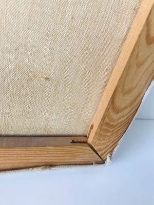 Niet of onleesbaar gesigneerd - Stilleven met Orchidee kopen? Bied vanaf 1!