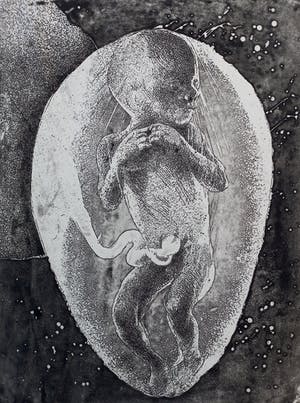 Willem Snitker - Foetus, aquatint ets kopen? Bied vanaf 40!