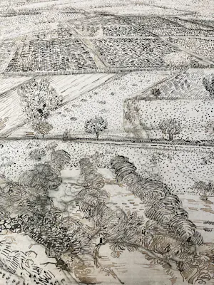 Vincent van Gogh - Lithografische poster - ‘La Crau vue prise à Mont Major’- Nieuwstaat kopen? Bied vanaf 45!