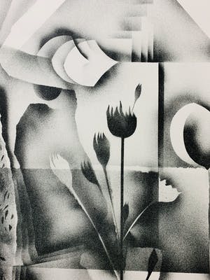 Gislain Dussart - Tulips kopen? Bied vanaf 10!