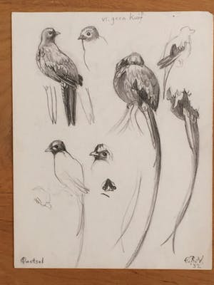 Engelien Reitsma-Valenca - Acht tekeningen van dieren in potlood of zwart krijt kopen? Bied vanaf 50!