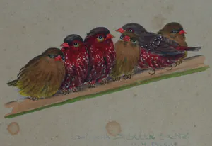 Niet of onleesbaar gesigneerd - Ingelijst, Gouache , 6 Vogeltjes op een tak - Oud kopen? Bied vanaf 1!