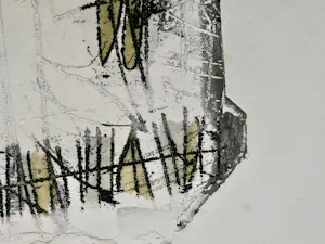 Wim Zurne - Gesigneerde ets kopen? Bied vanaf 10!