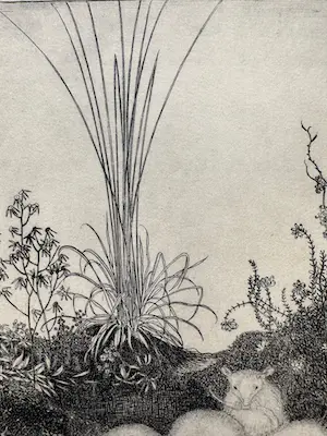 Jan Mankes - Heliogravure " Vier muizen " kopen? Bied vanaf 110!