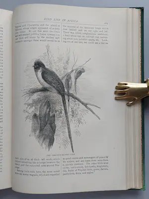 Antiquarisch Boek - 1890 Pictorial Travels on Land and Sea with Illustrations Frederick Warne & Co kopen? Bied vanaf 20!